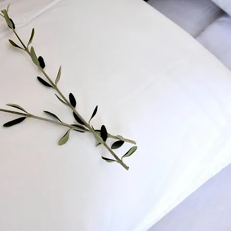 Bratou Episkopiana (Corfu)